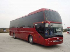 大金龍50座，雙層旅游巴車